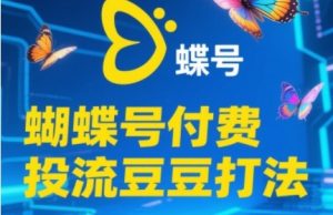 2025蝴蝶号付费投流豆豆打法,助新手快速掌握付费流量撬动自然流的核心玩法-全网第一网赚项目资源库-中赚网 & 中创网 & 冒泡网 & 福缘网 - 小本轻创业与优质加盟项目首选平台