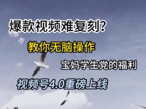 视频号4.0重磅上线,爆款视频难复刻?教你无脑操作宝妈学生党的福利【揭秘】-全网第一网赚项目资源库-中赚网 & 中创网 & 冒泡网 & 福缘网 - 小本轻创业与优质加盟项目首选平台