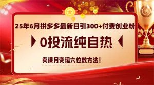 25年6月拼多多最新日引300+付费创业粉,0投流纯自热 卖课月变现六位数方法-全网第一网赚项目资源库-中赚网 & 中创网 & 冒泡网 & 福缘网 - 小本轻创业与优质加盟项目首选平台
