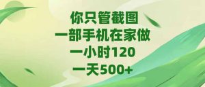 你只管截图,一部手机在家做,一小时120,-天500+-全网第一网赚项目资源库-中赚网 & 中创网 & 冒泡网 & 福缘网 - 小本轻创业与优质加盟项目首选平台