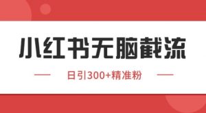 小红书截流同行客源,独家野路子获客玩法 日引200+暴力获客【揭秘】-全网第一网赚项目资源库-中赚网 & 中创网 & 冒泡网 & 福缘网 - 小本轻创业与优质加盟项目首选平台