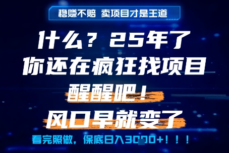 什么？25年你还在疯狂找项目做，醒醒吧，看完这些你全都懂了！【揭秘】-全网第一网赚项目资源库-中赚网 & 中创网 & 冒泡网 & 福缘网 - 小本轻创业与优质加盟项目首选平台