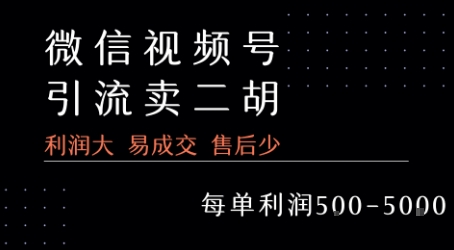 视频号卖二胡教程，利润大 易成交 售后少，一单利润5张+-全网第一网赚项目资源库-中赚网 & 中创网 & 冒泡网 & 福缘网 - 小本轻创业与优质加盟项目首选平台
