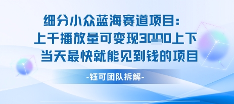 小众蓝海赛道项目：当天变现1k+适合新手操作 +适合长期玩-全网第一网赚项目资源库-中赚网 & 中创网 & 冒泡网 & 福缘网 - 小本轻创业与优质加盟项目首选平台
