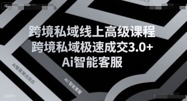跨境私域线上高级课程，跨境私域极速成交3.0+Ai智能客服-全网第一网赚项目资源库-中赚网 & 中创网 & 冒泡网 & 福缘网 - 小本轻创业与优质加盟项目首选平台