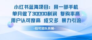 小红书蓝海项目，一部手机单月做了3W利润，小白也能月入过1W用户认可度高成交多-全网第一网赚项目资源库-中赚网 & 中创网 & 冒泡网 & 福缘网 - 小本轻创业与优质加盟项目首选平台