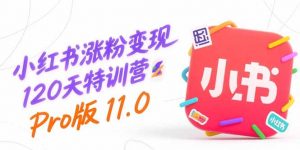 小红书涨粉变现120天特训营Pro版11.0：从0到1掌握平台运营,内容制作和变现-全网第一网赚项目资源库-中赚网 & 中创网 & 冒泡网 & 福缘网 - 小本轻创业与优质加盟项目首选平台