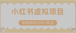 小红书卖虚拟产品,单品纯利20W+玩法分享(节系列课程)-全网第一网赚项目资源库-中赚网 & 中创网 & 冒泡网 & 福缘网 - 小本轻创业与优质加盟项目首选平台
