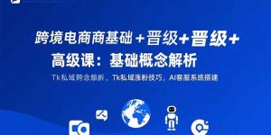 跨境电商基础+晋级+高级课:基础概念解析,Tk私域涨粉技巧,AI客服系统搭建-全网第一网赚项目资源库-中赚网 & 中创网 & 冒泡网 & 福缘网 - 小本轻创业与优质加盟项目首选平台