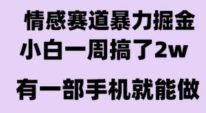情感暴力掘金项目,新人操作一周挣了2W,长期稳定小白可做【揭秘】-全网第一网赚项目资源库-中赚网 & 中创网 & 冒泡网 & 福缘网 - 小本轻创业与优质加盟项目首选平台