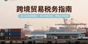 跨境贸易税务指南，进口业务退税要点，转口贸易风险，特殊业务处理-全网第一网赚项目资源库-中赚网 & 中创网 & 冒泡网 & 福缘网 - 小本轻创业与优质加盟项目首选平台