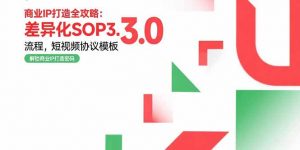 商业IP打造全攻略：差异化SOP3.0流程，短视频协议模板，婚恋项目实战案例-全网第一网赚项目资源库-中赚网 & 中创网 & 冒泡网 & 福缘网 - 小本轻创业与优质加盟项目首选平台
