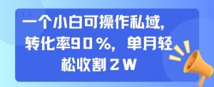 一个小白可操作私域,转化率90%,单月轻松收割2W-全网第一网赚项目资源库-中赚网 & 中创网 & 冒泡网 & 福缘网 - 小本轻创业与优质加盟项目首选平台