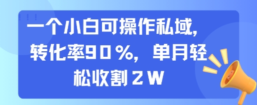 一个小白可操作私域，转化率90%，单月轻松收割2W-全网第一网赚项目资源库-中赚网 & 中创网 & 冒泡网 & 福缘网 - 小本轻创业与优质加盟项目首选平台