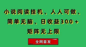 小说挂G阅读,人人可做,简单无脑,一天收益3张+矩阵无限上,全网首发【揭秘】-全网第一网赚项目资源库-中赚网 & 中创网 & 冒泡网 & 福缘网 - 小本轻创业与优质加盟项目首选平台