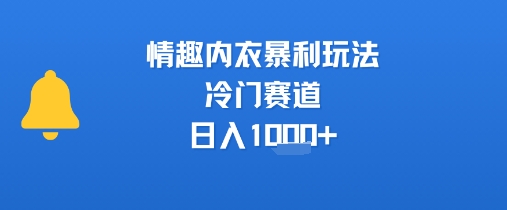 情趣内衣暴利玩法，冷门赛道，日入1k+-全网第一网赚项目资源库-中赚网 & 中创网 & 冒泡网 & 福缘网 - 小本轻创业与优质加盟项目首选平台