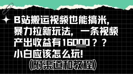 b站掘金计划？搬运视频也能挣拉新的收益，小白应该怎么玩！-全网第一网赚项目资源库-中赚网 & 中创网 & 冒泡网 & 福缘网 - 小本轻创业与优质加盟项目首选平台