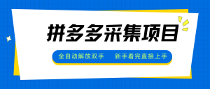 拼多多采集项目,全自动解放双手,单号日入30+-全网第一网赚项目资源库-中赚网 & 中创网 & 冒泡网 & 福缘网 - 小本轻创业与优质加盟项目首选平台