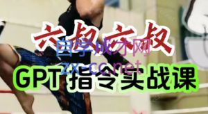 六叔的AI指令实战课(更新7月)-全网第一网赚项目资源库-中赚网 & 中创网 & 冒泡网 & 福缘网 - 小本轻创业与优质加盟项目首选平台