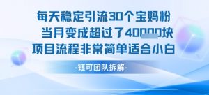 每天稳定引流30个人 当月变成超过了4个W项目流程非常简单适合小白-全网第一网赚项目资源库-中赚网 & 中创网 & 冒泡网 & 福缘网 - 小本轻创业与优质加盟项目首选平台