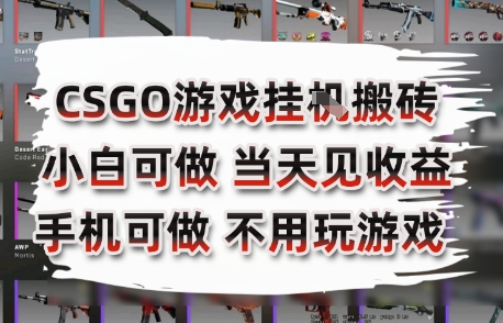 CSGO游戏挂G搬砖，小白纯手机即可操作，不用电脑打游戏，日入3张+，副业网创项目【揭秘】-全网第一网赚项目资源库-中赚网 & 中创网 & 冒泡网 & 福缘网 - 小本轻创业与优质加盟项目首选平台