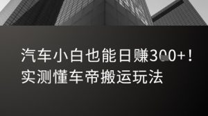 汽车小白也能日入3张!实测懂车帝搬运玩法-全网第一网赚项目资源库-中赚网 & 中创网 & 冒泡网 & 福缘网 - 小本轻创业与优质加盟项目首选平台