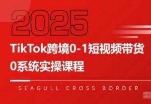 大亿老师·TikTok跨境0-1短视频带货-全网第一网赚项目资源库-中赚网 & 中创网 & 冒泡网 & 福缘网 - 小本轻创业与优质加盟项目首选平台