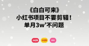 小白可来 小红书项目不需要剪辑 单月3w不是问题-全网第一网赚项目资源库-中赚网 & 中创网 & 冒泡网 & 福缘网 - 小本轻创业与优质加盟项目首选平台
