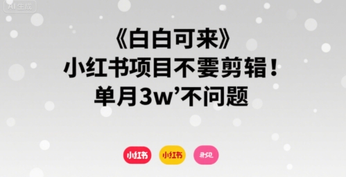 小白可来 小红书项目不需要剪辑 单月3w不是问题-全网第一网赚项目资源库-中赚网 & 中创网 & 冒泡网 & 福缘网 - 小本轻创业与优质加盟项目首选平台