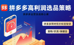 久号老师·拼多多选品暴利技术实战课-全网第一网赚项目资源库-中赚网 & 中创网 & 冒泡网 & 福缘网 - 小本轻创业与优质加盟项目首选平台