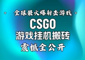 【年底大揭秘】基于全球最火爆的射击CSGO游戏挂G搬砖，日入5张+，震撼公开-全网第一网赚项目资源库-中赚网 & 中创网 & 冒泡网 & 福缘网 - 小本轻创业与优质加盟项目首选平台