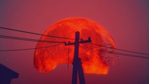 《暴煞狂想2/Violent Horror Stories》PC中文版下载-含Build.20875131-全网第一网赚项目资源库-中赚网 & 中创网 & 冒泡网 & 福缘网 - 小本轻创业与优质加盟项目首选平台