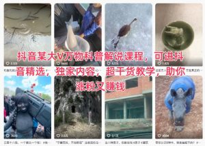抖音某大V万物科普解说课程，可进抖音精选，独家内容，超干货教学，助你涨粉又賺钱-全网第一网赚项目资源库-中赚网 & 中创网 & 冒泡网 & 福缘网 - 小本轻创业与优质加盟项目首选平台