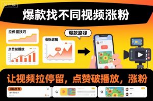 爆款找不同视频涨粉,让视频拉停留,实现点赞,破播放,涨粉-全网第一网赚项目资源库-中赚网 & 中创网 & 冒泡网 & 福缘网 - 小本轻创业与优质加盟项目首选平台