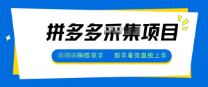 拼多多电商采集，一小时50+，操作简单，零投资-全网第一网赚项目资源库-中赚网 & 中创网 & 冒泡网 & 福缘网 - 小本轻创业与优质加盟项目首选平台