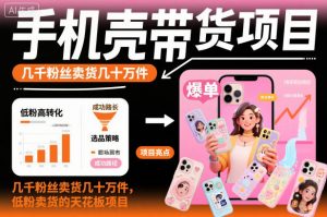 手机壳带货项目，几千粉丝卖货几十万件，短视频低粉卖货的天花板项目-全网第一网赚项目资源库-中赚网 & 中创网 & 冒泡网 & 福缘网 - 小本轻创业与优质加盟项目首选平台