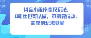 抖音小程序变现玩法，0粉丝也可以做，不需要成本，简单的玩法教程-全网第一网赚项目资源库-中赚网 & 中创网 & 冒泡网 & 福缘网 - 小本轻创业与优质加盟项目首选平台