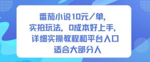 番茄小说10米每单，实拍玩法，0成本好上手，详细实操教程和平台入口适合大部分人-全网第一网赚项目资源库-中赚网 & 中创网 & 冒泡网 & 福缘网 - 小本轻创业与优质加盟项目首选平台
