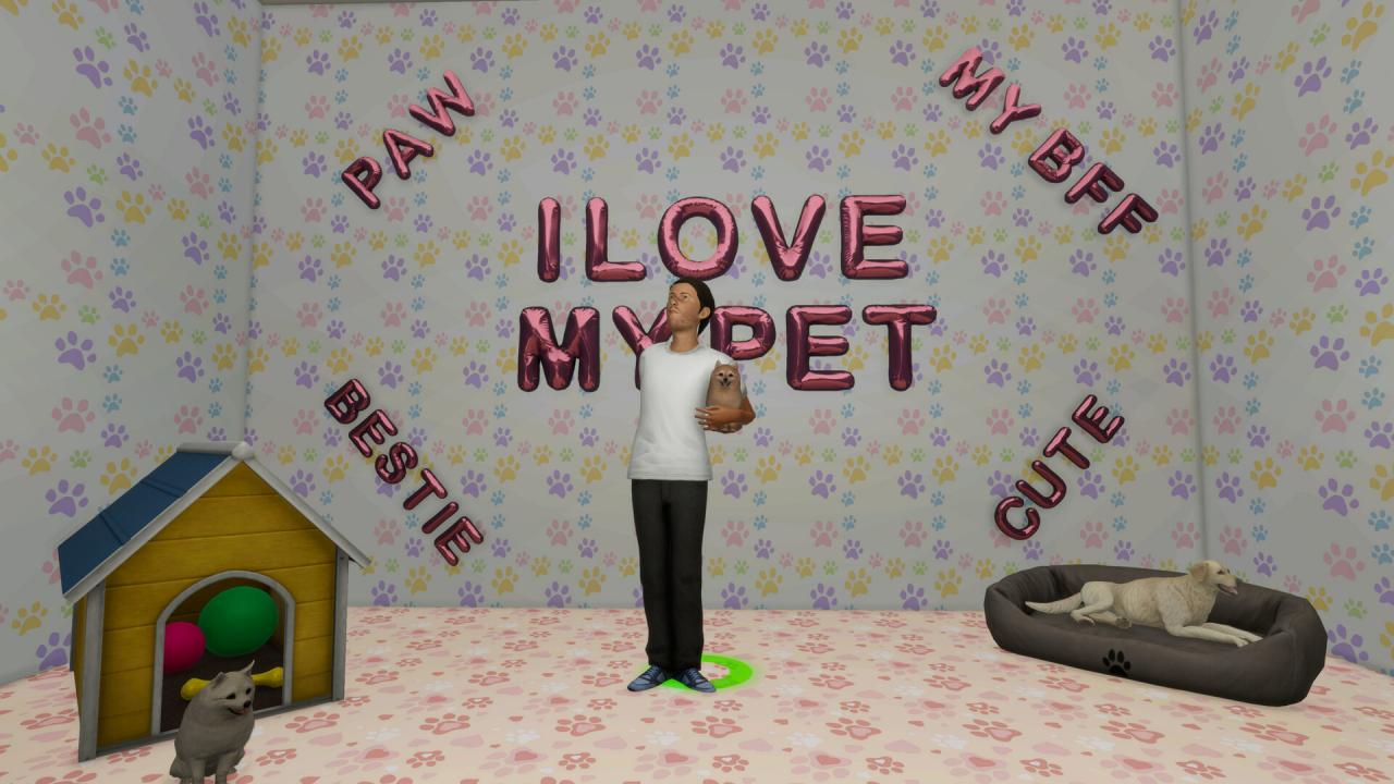 《摄影师人生模拟器/Photographer’s Life Simulator》PC中文版下载-含Build.21073764