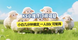 小程序订阅项目_小白几分钟搞定，一人88米，可矩阵(已测到账)-全网第一网赚项目资源库-中赚网 & 中创网 & 冒泡网 & 福缘网 - 小本轻创业与优质加盟项目首选平台