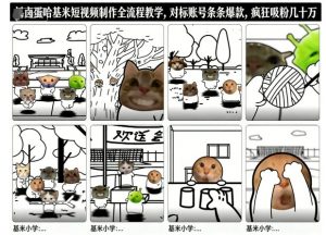 卤蛋哈基米短视频制作全流程教学,条条爆款,疯狂吸粉几十万-全网第一网赚项目资源库-中赚网 & 中创网 & 冒泡网 & 福缘网 - 小本轻创业与优质加盟项目首选平台