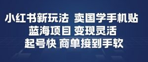 小红书新玩法，卖国学手机贴，蓝海项目，变现灵活，起号快，商单接到手软-全网第一网赚项目资源库-中赚网 & 中创网 & 冒泡网 & 福缘网 - 小本轻创业与优质加盟项目首选平台
