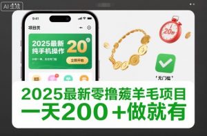 2025最新零撸薅羊毛项目，纯手机操作，20秒一单，无任何门槛，一天200+做就有【揭秘】-全网第一网赚项目资源库-中赚网 & 中创网 & 冒泡网 & 福缘网 - 小本轻创业与优质加盟项目首选平台