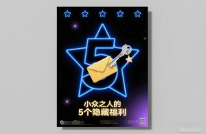 付费文章:小众之人的5个隐藏福利-全网第一网赚项目资源库-中赚网 & 中创网 & 冒泡网 & 福缘网 - 小本轻创业与优质加盟项目首选平台