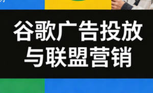 leo老师·谷歌广告投放与联盟营销-全网第一网赚项目资源库-中赚网 & 中创网 & 冒泡网 & 福缘网 - 小本轻创业与优质加盟项目首选平台