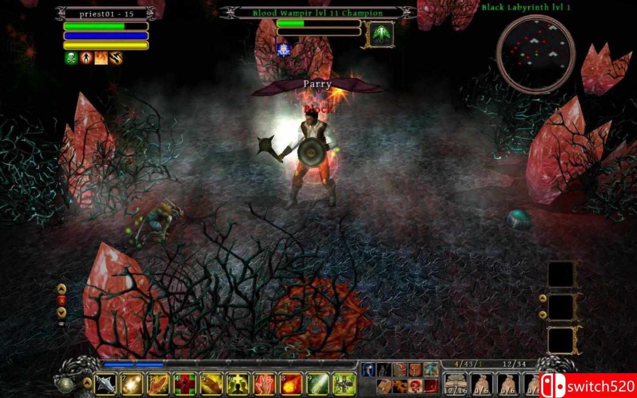 《丁神的诅咒（Din’s Curse）》v1.034 [英文]