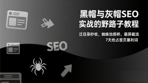 黑帽与灰帽SEO实战的野路子教程：泛目录秒收，蜘蛛池搭桥，霸屏截流，7天抢占首页暴利词-全网第一网赚项目资源库-中赚网 & 中创网 & 冒泡网 & 福缘网 - 小本轻创业与优质加盟项目首选平台