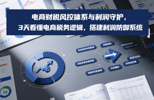 电商财税风控体系与利润守护，3天看懂电商税务逻辑，搭建利润防御系统-全网第一网赚项目资源库-中赚网 & 中创网 & 冒泡网 & 福缘网 - 小本轻创业与优质加盟项目首选平台