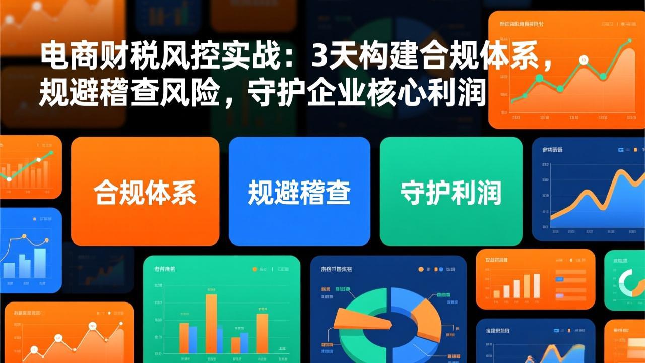 电商财税风控实战：3天构建合规体系，规避稽查风险，守护企业核心利润-全网第一网赚项目资源库-中赚网 & 中创网 & 冒泡网 & 福缘网 - 小本轻创业与优质加盟项目首选平台