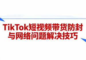 老谭·TikTok短视频带货实拍课程-全网第一网赚项目资源库-中赚网 & 中创网 & 冒泡网 & 福缘网 - 小本轻创业与优质加盟项目首选平台